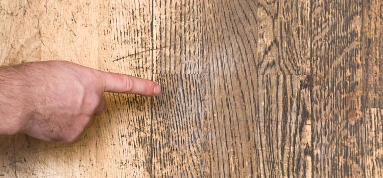 Wood Door Scratch Repair in Pembroke Pines